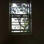 リストランテ ベリーニ - ☆窓際では無かったのですが…桜が見えます☆