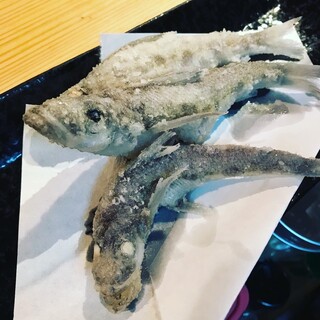 ペット可 おすすめのうなぎをご紹介 食べログ ペット可 おすすめのうなぎをご紹介 食べログ