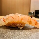 はっこく - 2020.11.  牡丹海老