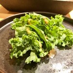 はっこく - 2020.11.  ケールのサラダ はっこくドレッシング