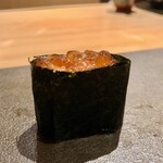 はっこく - 2020.11.  いくら