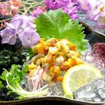 徳の風 サカナ屋 - 