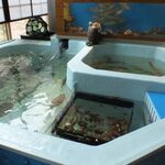 徳の風 サカナ屋 - 