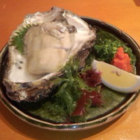 魚竹 - 広島産岩カキ