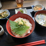 白うさぎ - 赤いか丼定食