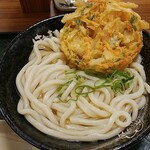 Hanamaru Udon - 野菜かき揚げとうどん