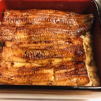 鰻割烹 伊豆栄 本店 - 