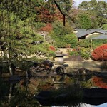 三養荘 - お庭の池
