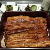 割烹蒲焼 横浜八十八 NEWoMan横浜店 -  割烹蒲焼 横浜八十八 NEWoMan横浜店 -