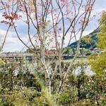 ムニ ラ テラス - テラスからの眺め(渡月橋と桂川)