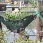 上野動物園　西園食堂 - 