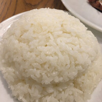 ブラチェリア バーヴァ - 