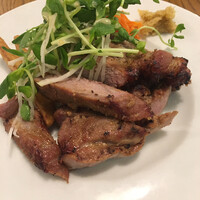 ブラチェリア バーヴァ - 