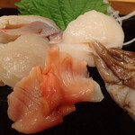 Shinobu Zushi - 