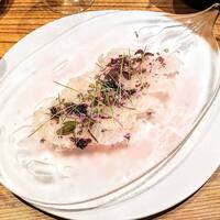 OLMO - 