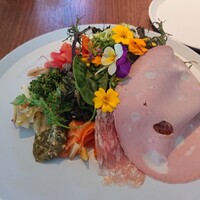 コレドガーナ - 