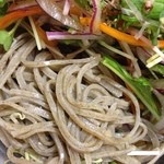 出雲そば きがる - 蕎麦アップ：サラダそば2012/07