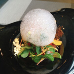 HaRe - ガスパッチョ