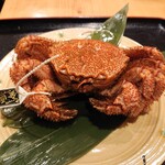 禅紫 - タグ付毛蟹