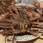 富小路 やま岸 - 