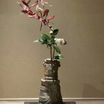 富小路 やま岸 - 