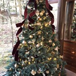 エルミタージュ ドゥ タムラ - 