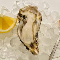 KAZAN - “キャッツアイ”オイスター