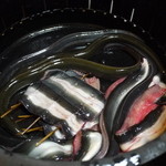 身が緑色の方が天然物