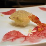 鮨 井上 - 車海老