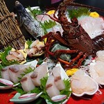 美さき - 料理写真:旬魚お造り