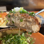 AKARI DINING - ジューシーな豆腐ハンバーグ