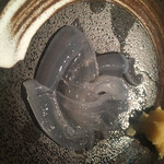 渋谷イカセンター - ＊ 活アオリイカ　小　3,400円