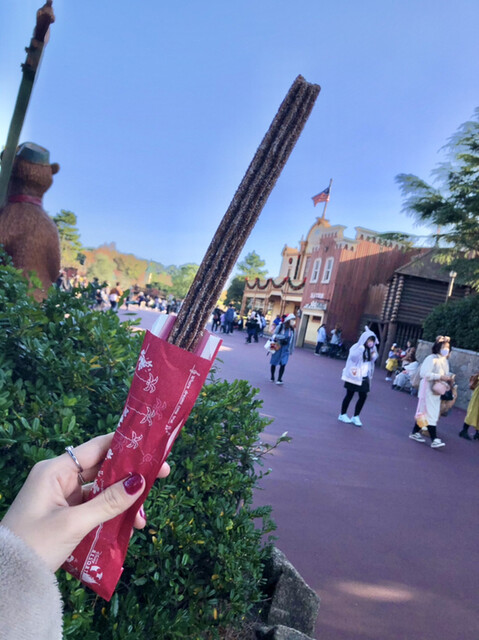 ペコスビル カフェ リゾートゲートウェイ ステーション カフェ 食べログ