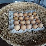 えぐぅ～カフェ - 