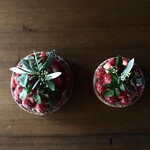 菜食和合茶倉 - 無農薬栽培フルーツタルト