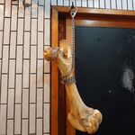 一条流がんこ総本家分家四谷荒木町 - 