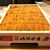 難波 鮨 栞庵 やましろ - 北海道根室産 蝦夷馬糞の生雲丹