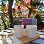 太山寺珈琲焙煎室 - 紅葉を愛でながらいただくホットコーヒー♫