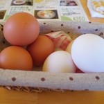ひまわり農園 - 新鮮な卵