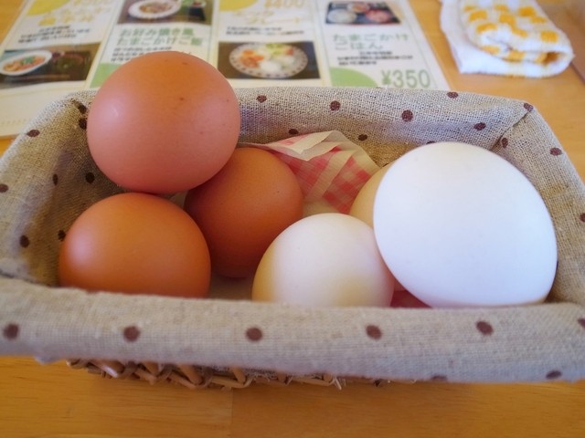 ひまわり農園 - 古川（日本料理）の写真