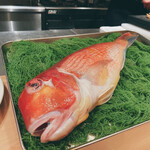 銀座 大石 - 甘鯛