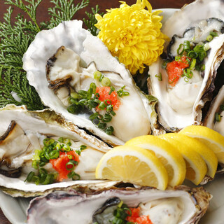 佐渡島へ渡れ_1