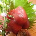 寿司　懐石処　光 - 本マグロの赤身　【　２０１２年８月　】