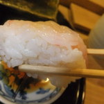 寿司　懐石処　光 - 握り　えび　【　２０１２年８月　】