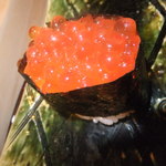 寿司　懐石処　光 - 握り　いくら　【　２０１２年８月　】