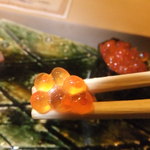 寿司　懐石処　光 - 握り　いくら　【　２０１２年８月　】