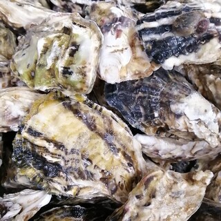 Joint project for all Toritei Group stores! ️“Grilled Oyster” from the Ariake Sea
