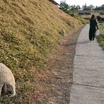 ラ コリーナ近江八幡 - 