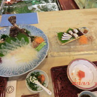 博多料亭 稚加榮 - オコゼとイワシの刺身