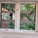 ヒアシンスハウス - 